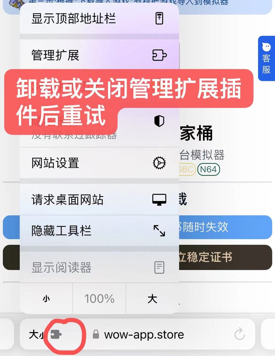 在 Safari 设置中管理和关闭扩展插件