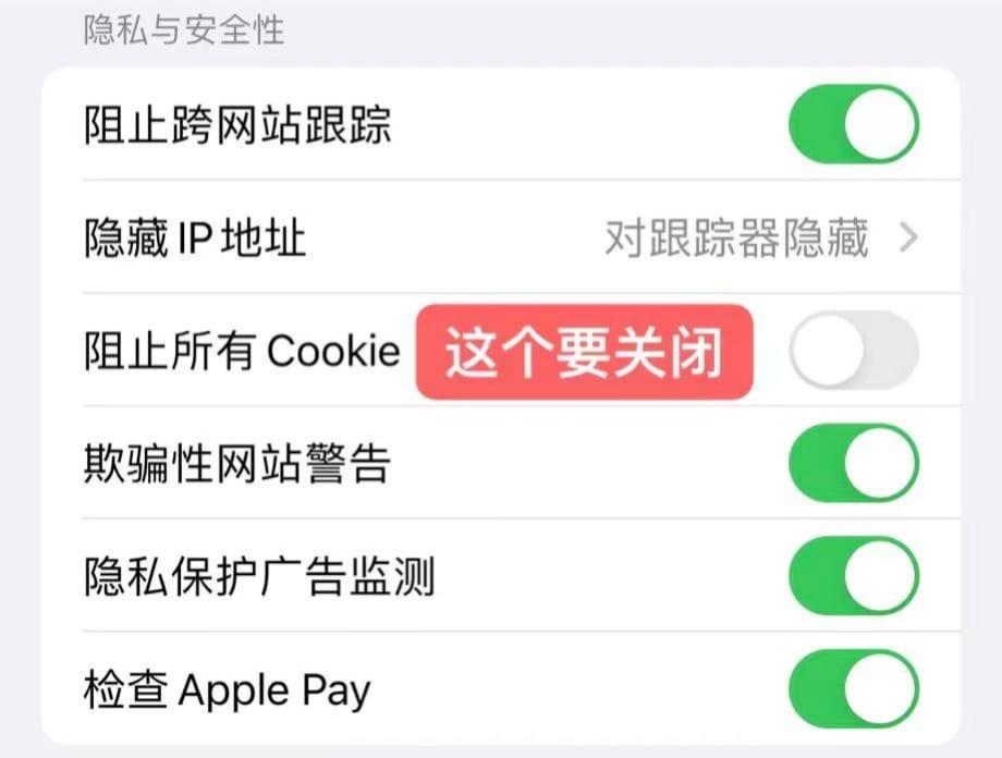 Safari 浏览器设置中的阻止所有 Cookie 选项